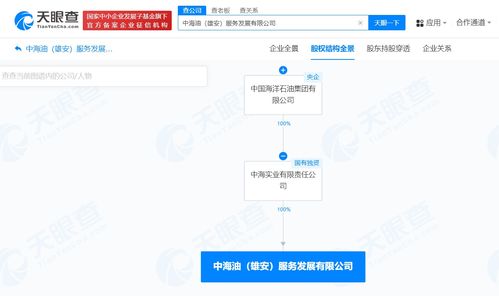 中國海油在雄安成立服務(wù)發(fā)展公司，注冊資本1億聚焦網(wǎng)絡(luò)技術(shù)服務(wù)